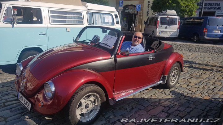Volkswagen Brouk speedster 1970