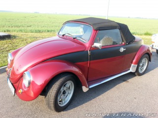 Volkswagen Brouk speedster 1970