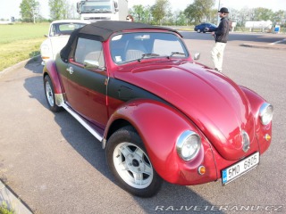 Volkswagen Brouk speedster 1970