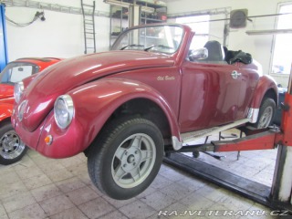 Volkswagen Brouk speedster 1970