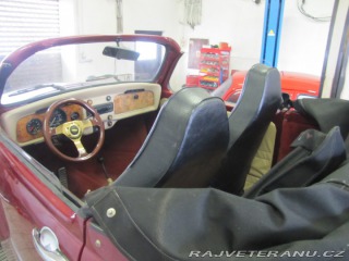 Volkswagen Brouk speedster 1970