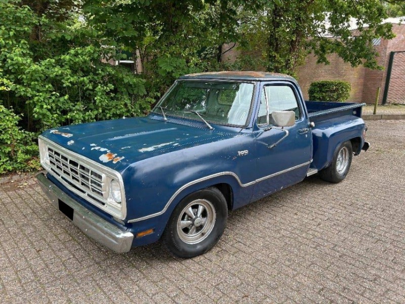 Dodge D D100