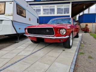 Ford Mustang HT 6.7 L