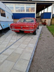 Ford Mustang HT 6.7 L 1967
