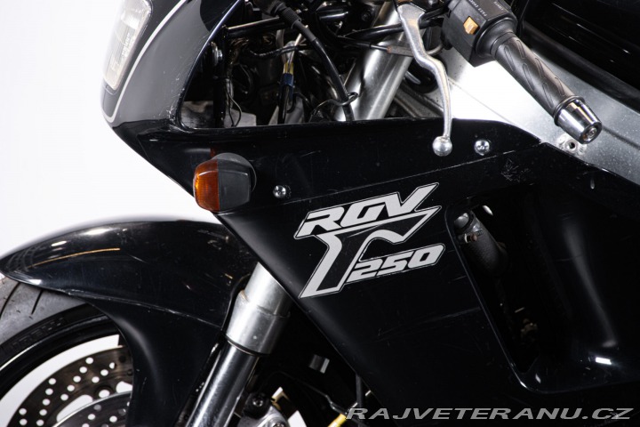 Suzuki RG RGV GAMMA 250 1990