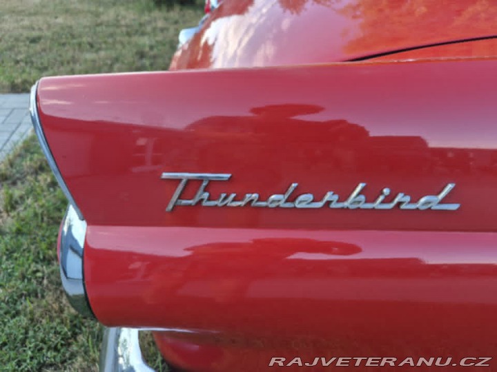 Ford Thunderbird  1955