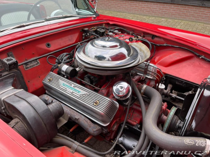 Ford Thunderbird  1955
