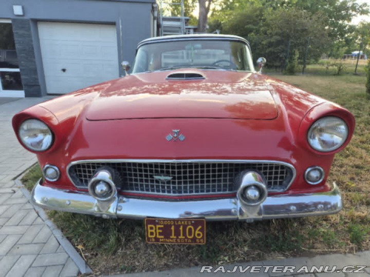 Ford Thunderbird  1955