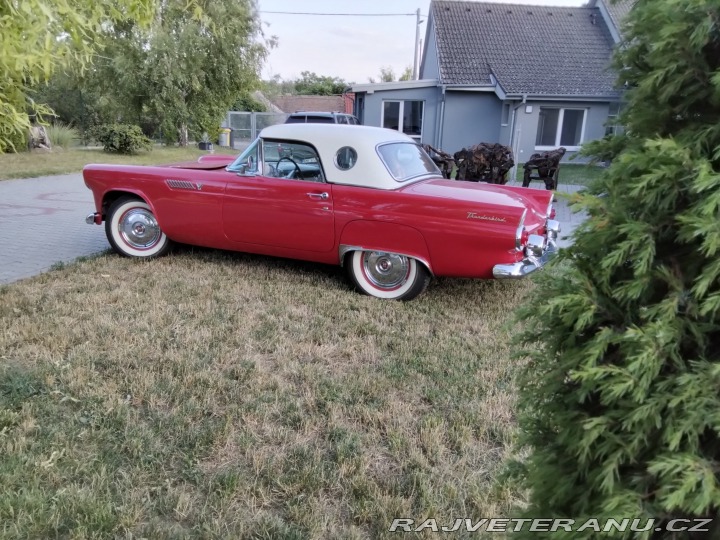 Ford Thunderbird  1955