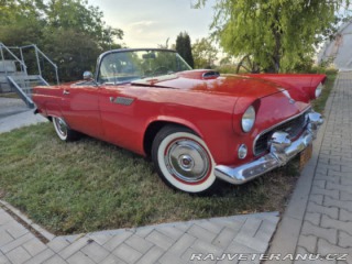 Ford Thunderbird  1955