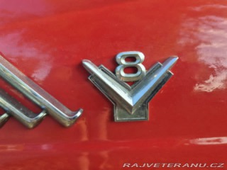 Ford Thunderbird  1955