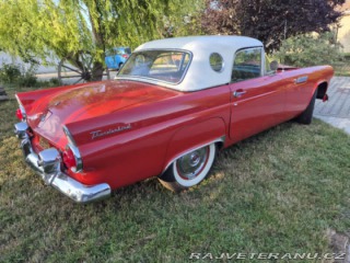 Ford Thunderbird  1955