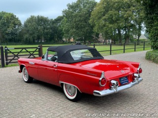 Ford Thunderbird  1955
