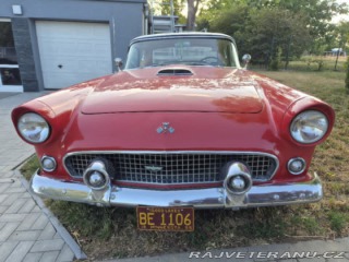 Ford Thunderbird  1955