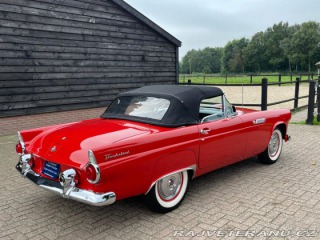 Ford Thunderbird  1955