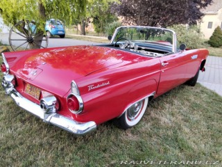 Ford Thunderbird  1955