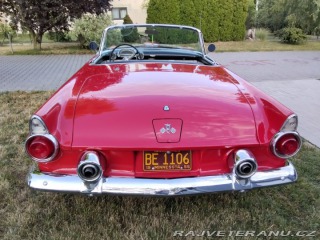 Ford Thunderbird  1955
