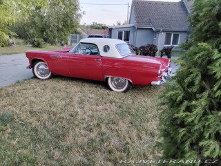 Ford Thunderbird  1955