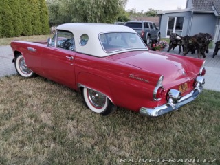 Ford Thunderbird  1955