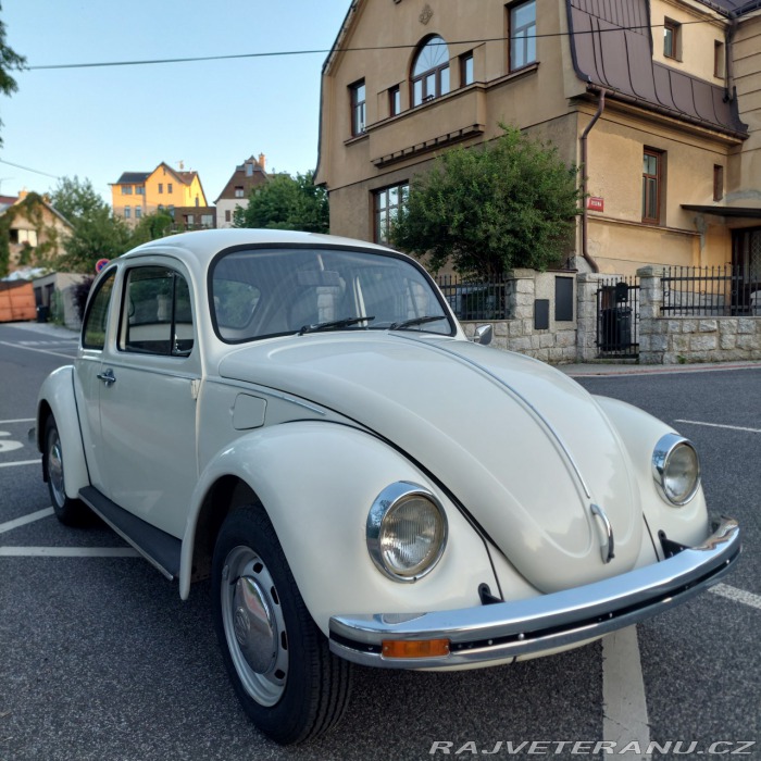 Volkswagen Brouk 