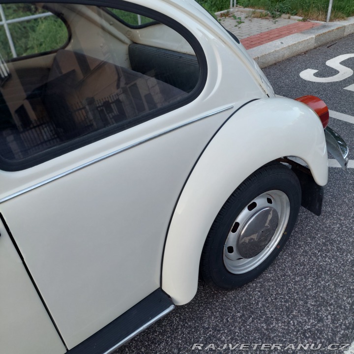 Volkswagen Brouk  1976