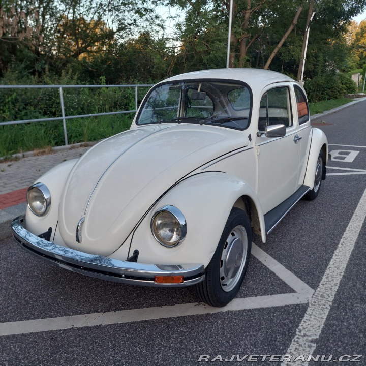 Volkswagen Brouk  1976