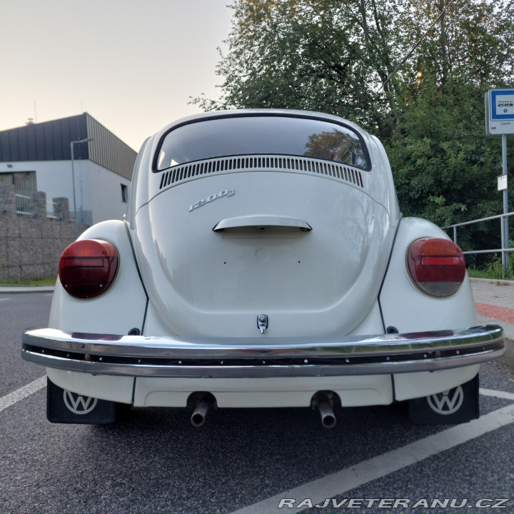 Volkswagen Brouk  1976