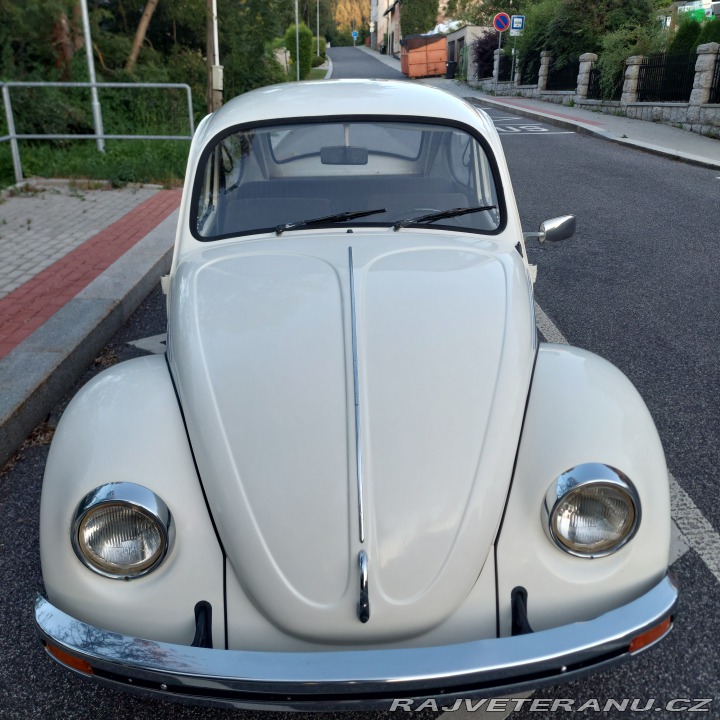 Volkswagen Brouk  1976
