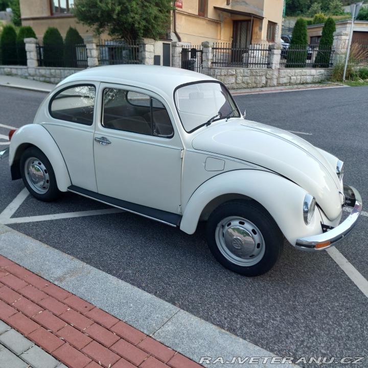 Volkswagen Brouk  1976