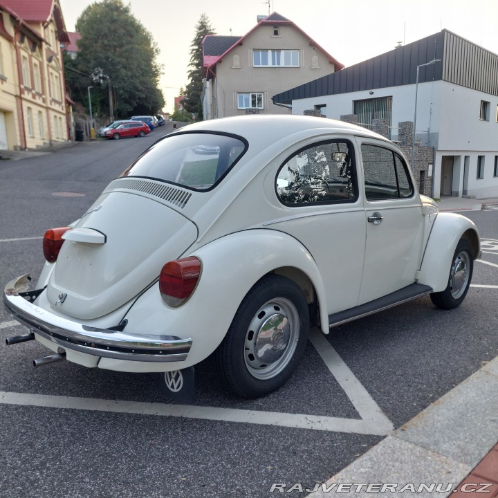 Volkswagen Brouk  1976