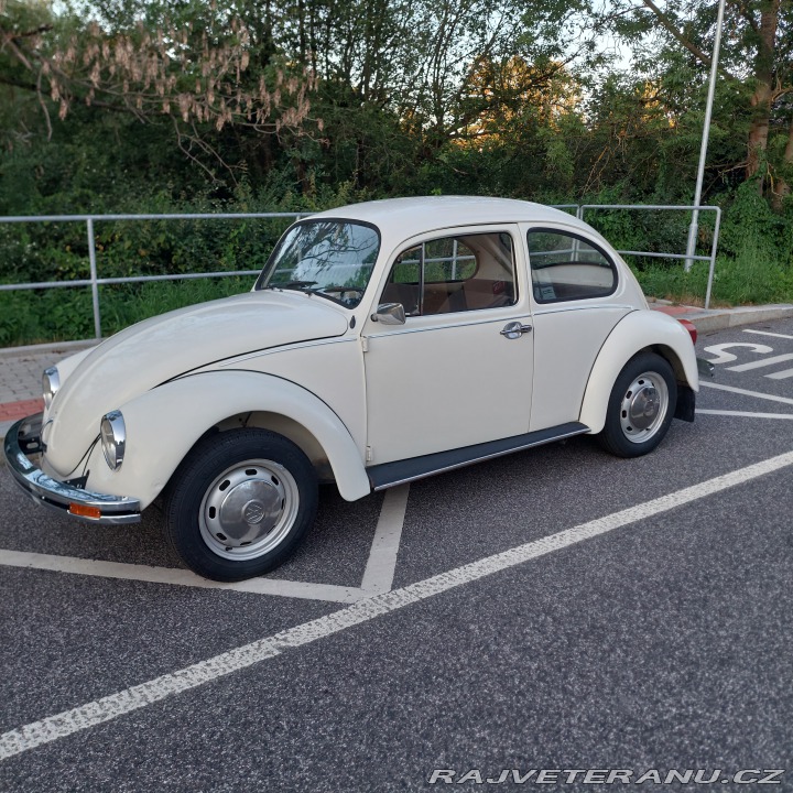 Volkswagen Brouk  1976