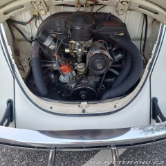 Volkswagen Brouk 1976