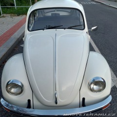 Volkswagen Brouk 1976