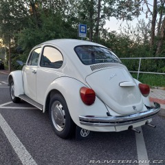 Volkswagen Brouk 1976
