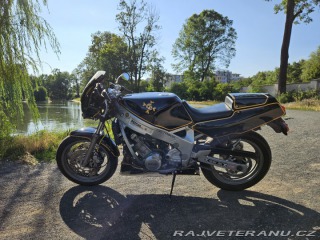 Yamaha FZ FZR 600 1990