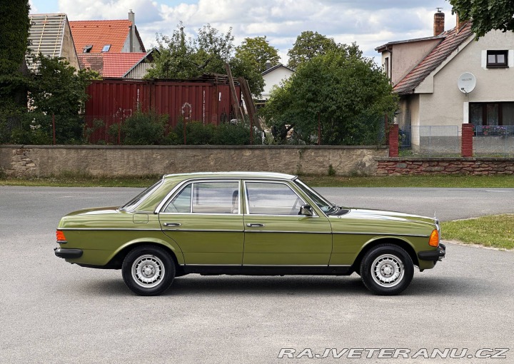 Mercedes-Benz 200 200D 123D 1980