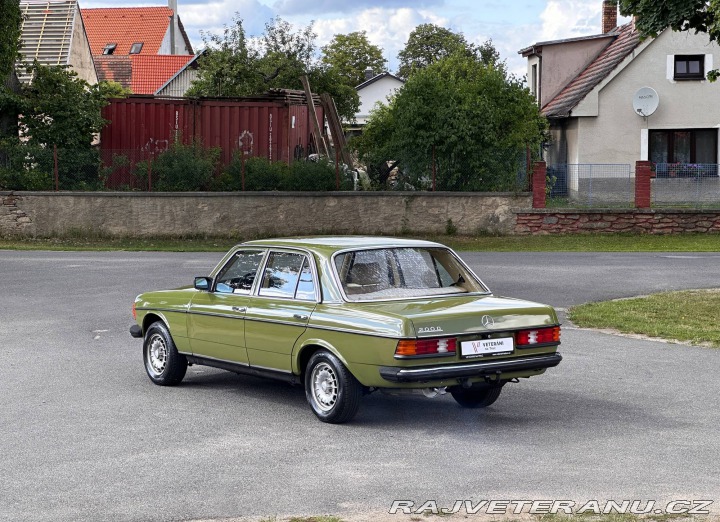 Mercedes-Benz 200 200D 123D 1980