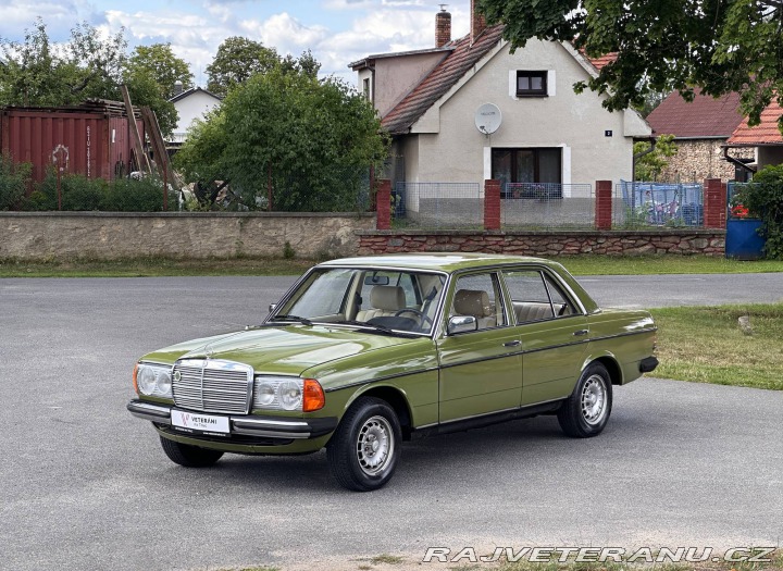 Mercedes-Benz 200 200D 123D 1980