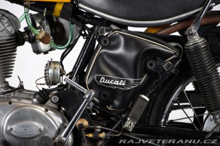 Ducati 250 SCRAMBLER 250 1971
