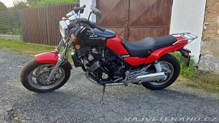 Yamaha FZ FZX 750 FAZER