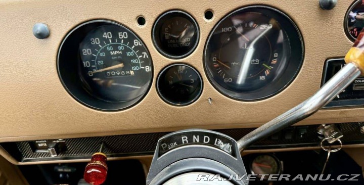 Chevrolet Ostatní modely Chevy 30 Custom Truck V8 5.7 1980