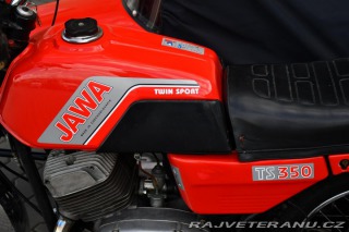 Jawa 350 TS 634 KONOPNICE SIDECAR 1982
