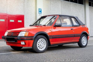 Peugeot 205 CTI 1988