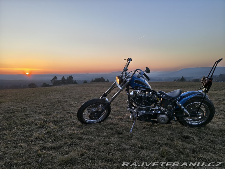 Harley-Davidson Ostatní modely Shovelhead 1982
