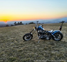 Harley-Davidson Ostatní modely Shovelhead 1982