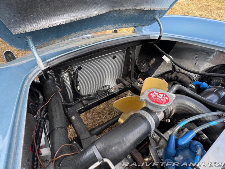 Cobra Ostatní modely AC 1971