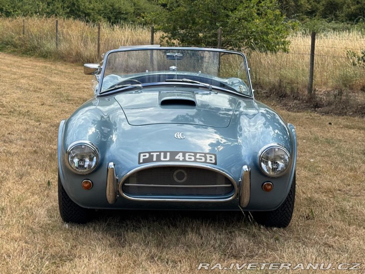 Cobra Ostatní modely AC 1971