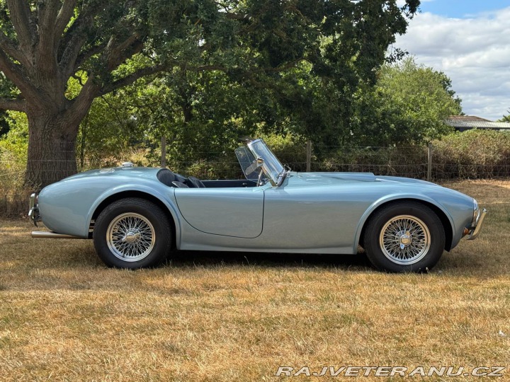 Cobra Ostatní modely AC 1971