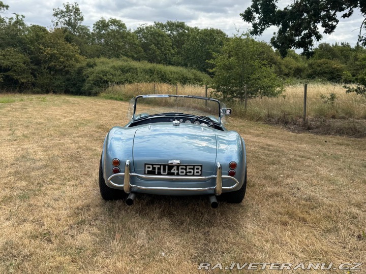 Cobra Ostatní modely AC 1971