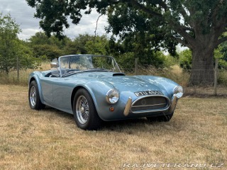 Cobra Ostatní modely AC 1971